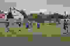 084022a0-d9d3-4da6-aaf8-a83dc7a98e2a