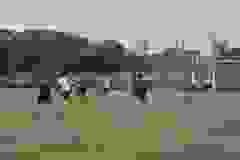 1810a1a7-e97d-4e0c-b6a3-9eb698c8ef0d