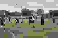 2b2682e8-8b0f-4519-91ea-1454872d937a