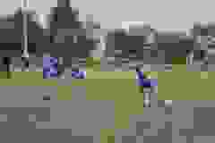 761a397f-d73a-49de-90c0-59ca41714f57