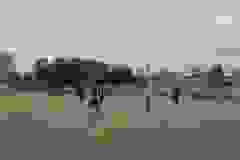 fe06c86b-c431-4f6f-a531-991ff9eed2f2