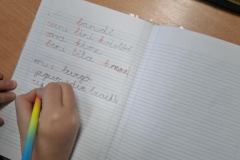 195c1a54-b318-47ee-b3c5-25a4abb45388