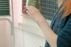 276d64ed-d164-4240-8ac2-7ee7683c75c6