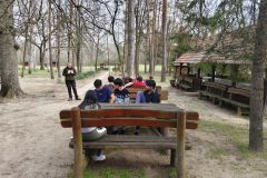 0b6a22eb-eab6-4086-b40d-8ea1ca4361ea