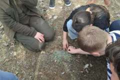 11787138-8e2b-42da-80f6-a731b4528e7c