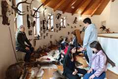 11e7d0e2-fc5c-4885-b5fc-0e702c6da72d