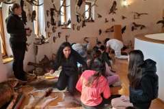 1676fdab-ea73-48d4-9bd2-154b7e1a249e