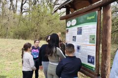 24881eb8-68e8-4e38-aec6-5a902d37065c