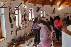 41dc09ca-ed42-4cfd-8ce3-4555e29d33a3