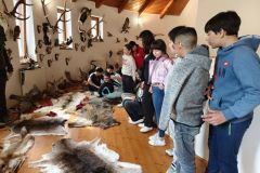 49892acf-72ef-4f27-b51c-a2acc1e100f4