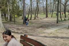 5f1180f0-9ac7-4d9d-9be8-d2bd7d74e195