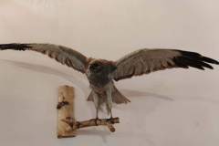 64b67df2-d637-4d32-b236-ff886a49b418