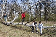 66f89ca1-899f-489c-ba02-4ffe8c0f4873