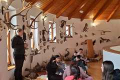 6c01d2d5-022e-4c27-bf8e-b5be0d141b91