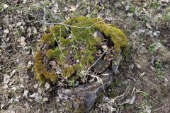 713982dc-e5cf-4e12-88e2-e73f98eff9b2