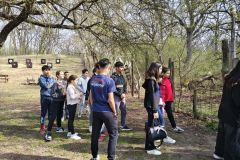 78adc6e0-3cf3-463b-9b0e-672d44c53d2c