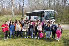 8c6f9e70-5bd1-4e7b-ad4a-b1a9aec02199