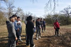 8e464a41-dfb4-4291-91a9-59225b927a7d