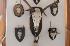 8fa7d615-53f3-46be-a99e-119464d185e1