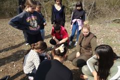 9a646054-4761-4985-a185-67fa9708d83c