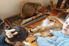 9f986fc5-4006-4a76-8e88-273b47fc6547