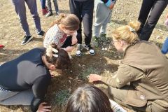 a1c33a7c-a443-4a4e-a397-b655aa2a9e34