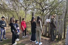 bcea502a-28b3-4dea-aba1-e127a68a47f0