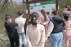 db4a9a30-fdc9-4e41-a12b-1aa8ae61746b