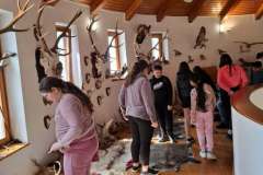 dc5cf8a8-0e6f-4058-aff7-1e0357530a5e