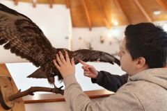 de02bc00-260d-4c95-8c6e-64f983113571