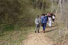 ff118eb1-97f4-4228-a378-1e7068270809