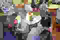 652e3b4c-2230-4cbd-9ebd-28fc605094c2
