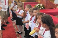 222c2d1b-06f7-4c42-a509-2b5be294242f